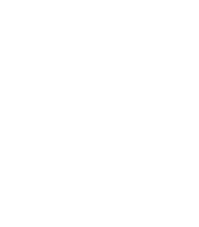 The Lion King