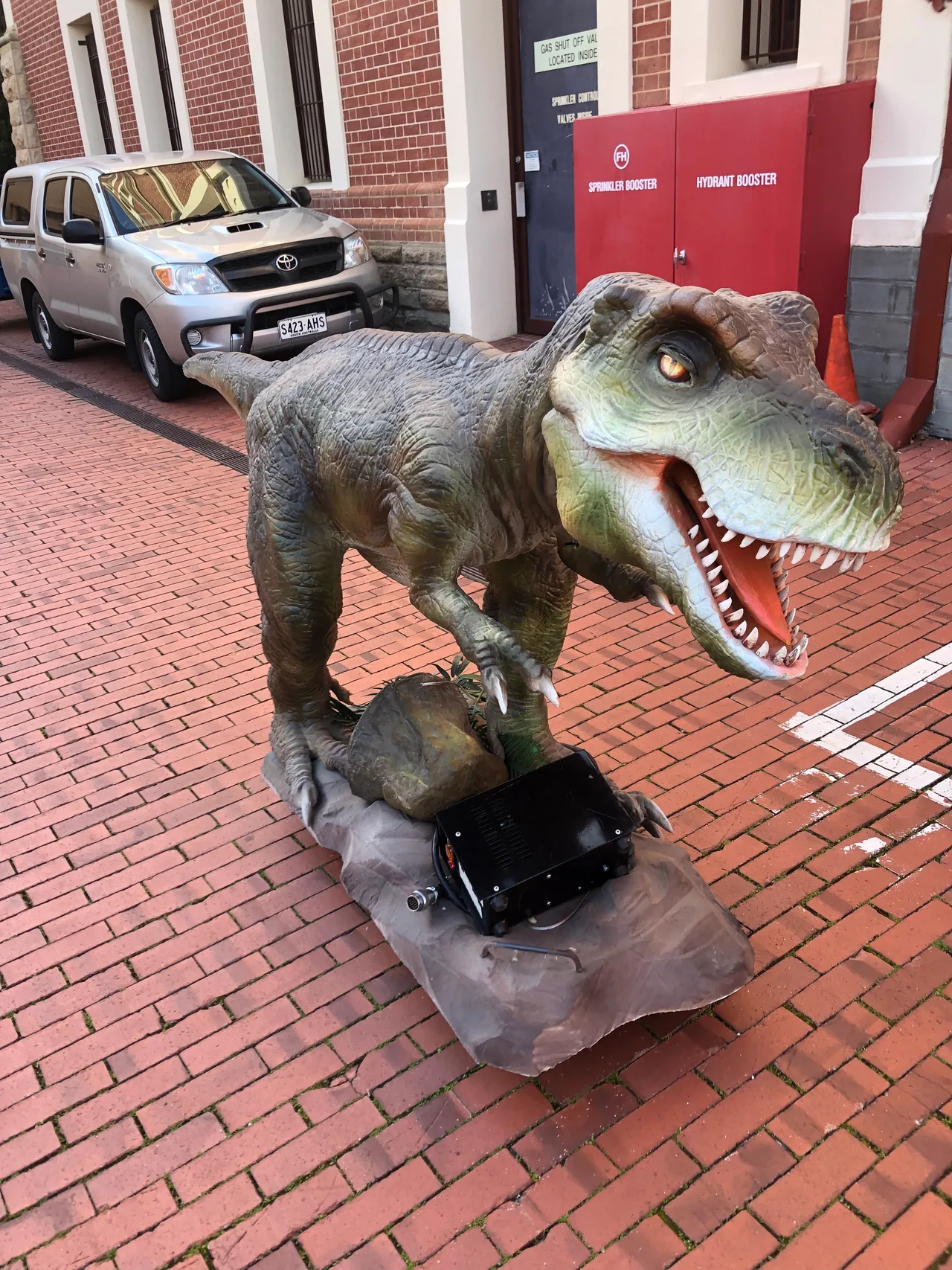 A life-size T-rex model on a rock base arriving by ute at the SA Museum loading dock