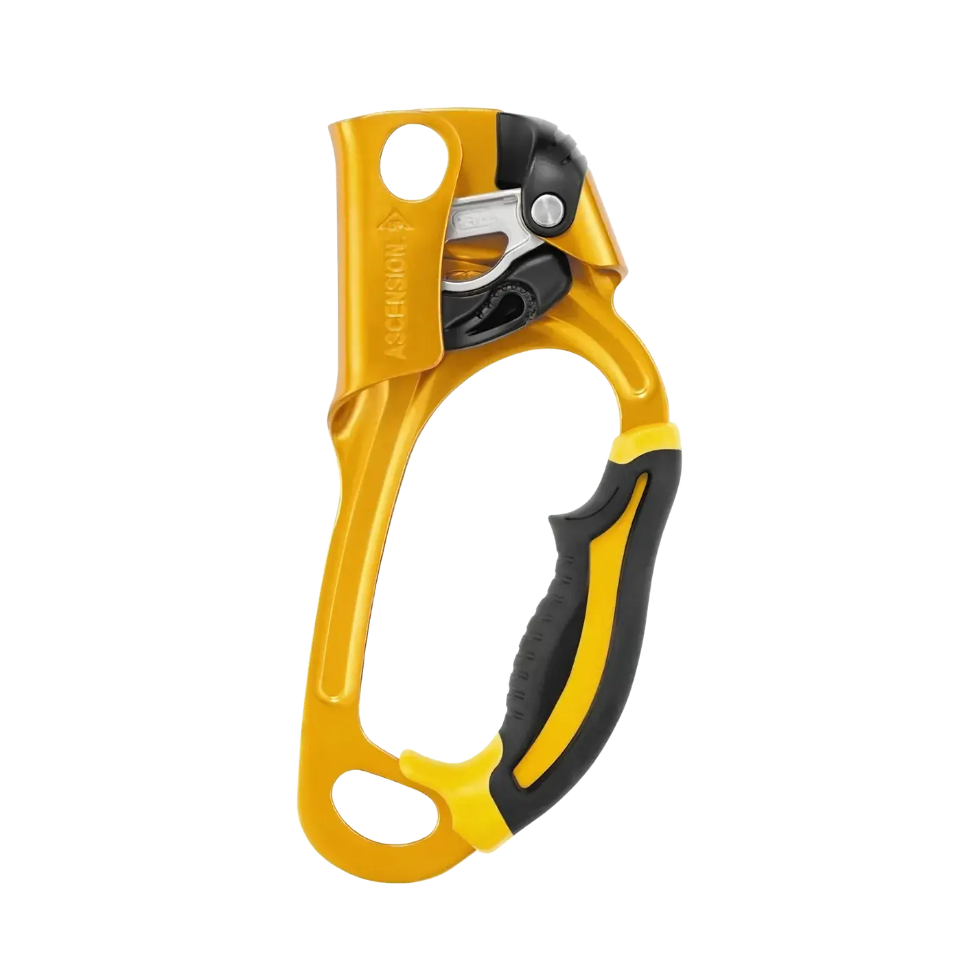 Petzl Ascension rope ascender